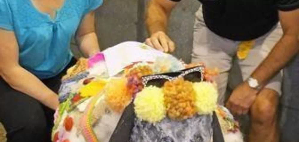 Banner Jones Judge Sheep Contest!