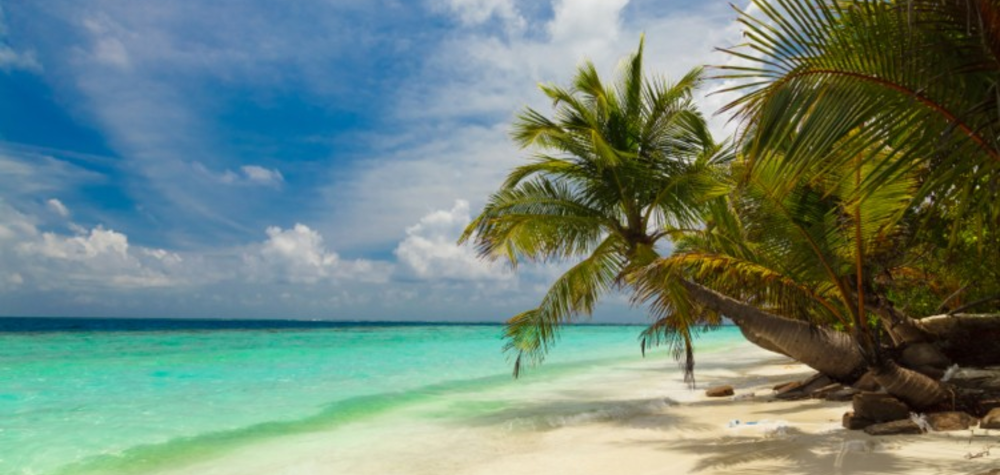 Crackdown on fake holiday sickness firms