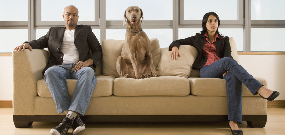 Dogs & Divorce: Is it a bone of contention?