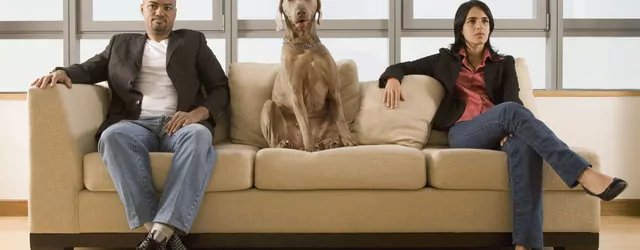 Dogs & Divorce: Is it a bone of contention?