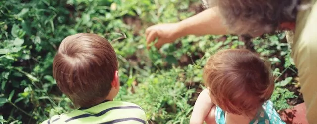 Talking to your family about your wishes for the future